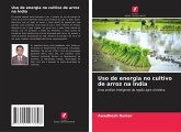 Uso de energia no cultivo de arroz na Índia