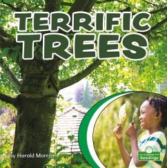 Terrific Trees - Morris, Harold