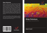 Misja Palestyna