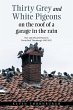 Thirty Grey and White Pigeons on the... - Bild 1