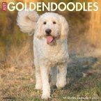 Just Goldendoodles 2022 Wall Calendar (Dog Breed)