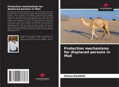 Protection mechanisms for displaced persons in Mali - Dembélé, Idrissa