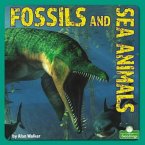Fossils and Sea Animals