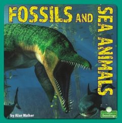 Fossils and Sea Animals - Walker, Alan