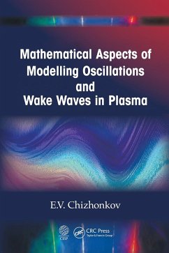 Mathematical Aspects of Modelling Oscillations and Wake Waves in Plasma - Chizhonkov, E V