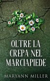 Oltre La Crepa Nel Marciapiede