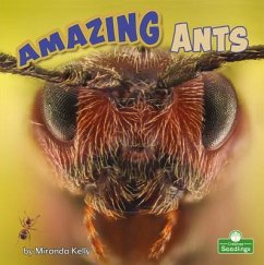 Amazing Ants - Kelly, Miranda