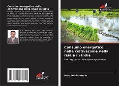 Consumo energetico nella coltivazione della risaia in India - Kumar, Awadhesh