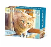What Cats Teach Us 2022 Box Calendar, Daily Desktop
