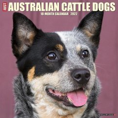 Just Australian Cattle Dogs 2022 Wall Calendar (Dog Breed) - Willow Creek Press