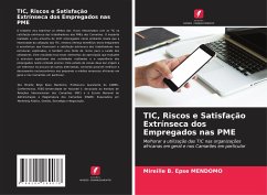 TIC, Riscos e Satisfação Extrínseca dos Empregados nas PME - B. Epse MENDOMO, Mireille