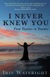 I Never Knew You - Bild 1