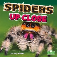 Spiders Up Close - Walker, Alan