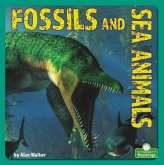 Fossils and Sea Animals