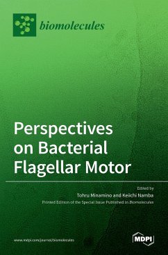 Perspectives on Bacterial Flagellar Motor