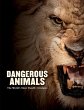 Dangerous Animals - Bild 1