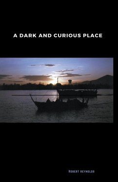 A Dark and Curious Place - Reynolds, Robert