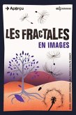 Les fractales en images (eBook, PDF)