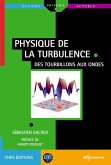 Physique de la turbulence (eBook, PDF) Physique de la turbulence (eBook, PDF)