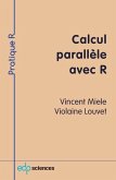 Calcul parallèle avec R (eBook, PDF)
