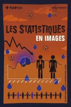 Les statistiques en images (eBook, PDF) - Magnello, Eileen; van, Borin