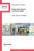 Nuclear Power Reactor Core Melt Accidents (eBook, PDF)