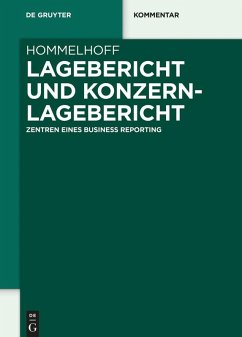 Lagebericht und Konzernlagebericht (eBook, ePUB) - Hommelhoff, Peter