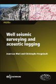 Well seismic surveying and acoustic logging (eBook, PDF)