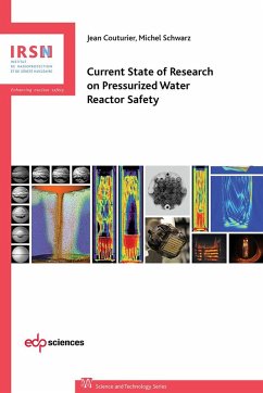 Current state of research on pressurized water reactor safety (eBook, PDF) - Couturier, Jean; Schwarz, Michel
