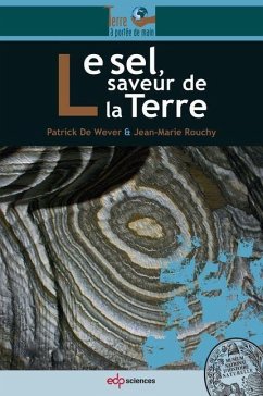 Le sel, saveur de la Terre (eBook, PDF) - de Wever, Patrick; Rouchy, Jean-Marie