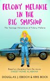 Felony Melanie and the Big Smashup (The Teenage Adventures of Felony Melanie, #2) (eBook, ePUB) Felony Melanie and the Big Smashup (The Teenage Adventures of Felony Melanie, #2) (eBook, ePUB)