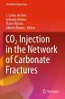 CO2 Injection in the Network of... - Bild 1