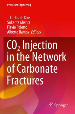 CO2 Injection in the Network of Carbonate Fractures