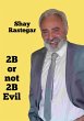 2B or not 2B Evil (eBook, ePUB) - Bild 1
