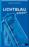 Lichtblau (eBook, ePUB)