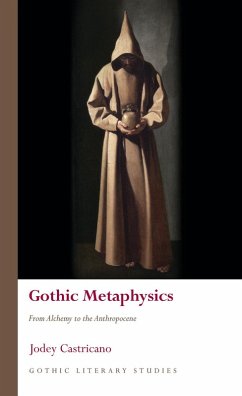 Gothic Metaphysics (eBook, ePUB) - Castricano, Jodey