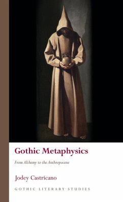 Cover Gothic Metaphysics (eBook, ePUB)