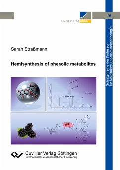 Hemisynthesis of phenolic metabolites - Straßmann, Sarah