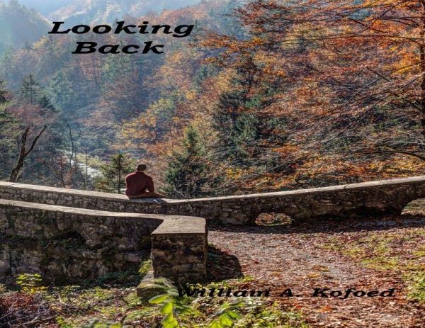 Looking back (eBook, ePUB)