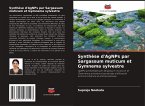 Synthèse d'AgNPs par Sargassum muticum et Gymnema sylvestre