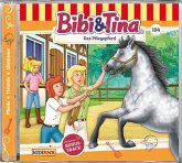 Bibi & Tina - Das Pflegepferd