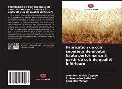 Fabrication de cuir supérieur de mouton haute performance à partir de cuir de qualité inférieure - Wolde Zegeye, Wondimu;Rathinam, R. Aravindan;Yimam, Abubeker