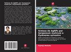 Síntese de AgNPs por Sargassum muticum e Gymnema sylvestre