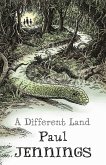 Different Land (eBook, ePUB)