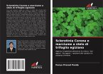 Sclerotinia Corona e marciume a stelo di trifoglio egiziano