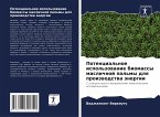 Potencial'noe ispol'zowanie biomassy maslichnoj pal'my dlq proizwodstwa änergii