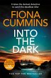 Into the Dark (eBook, ePUB) - Bild 1