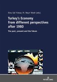 Turkey's Economy from different perspectives after 1980 (eBook, ePUB)