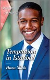 Temptation in Istanbul (eBook, ePUB)
