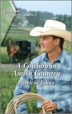 A Cowboy in Amish Country (eBook, ePUB)